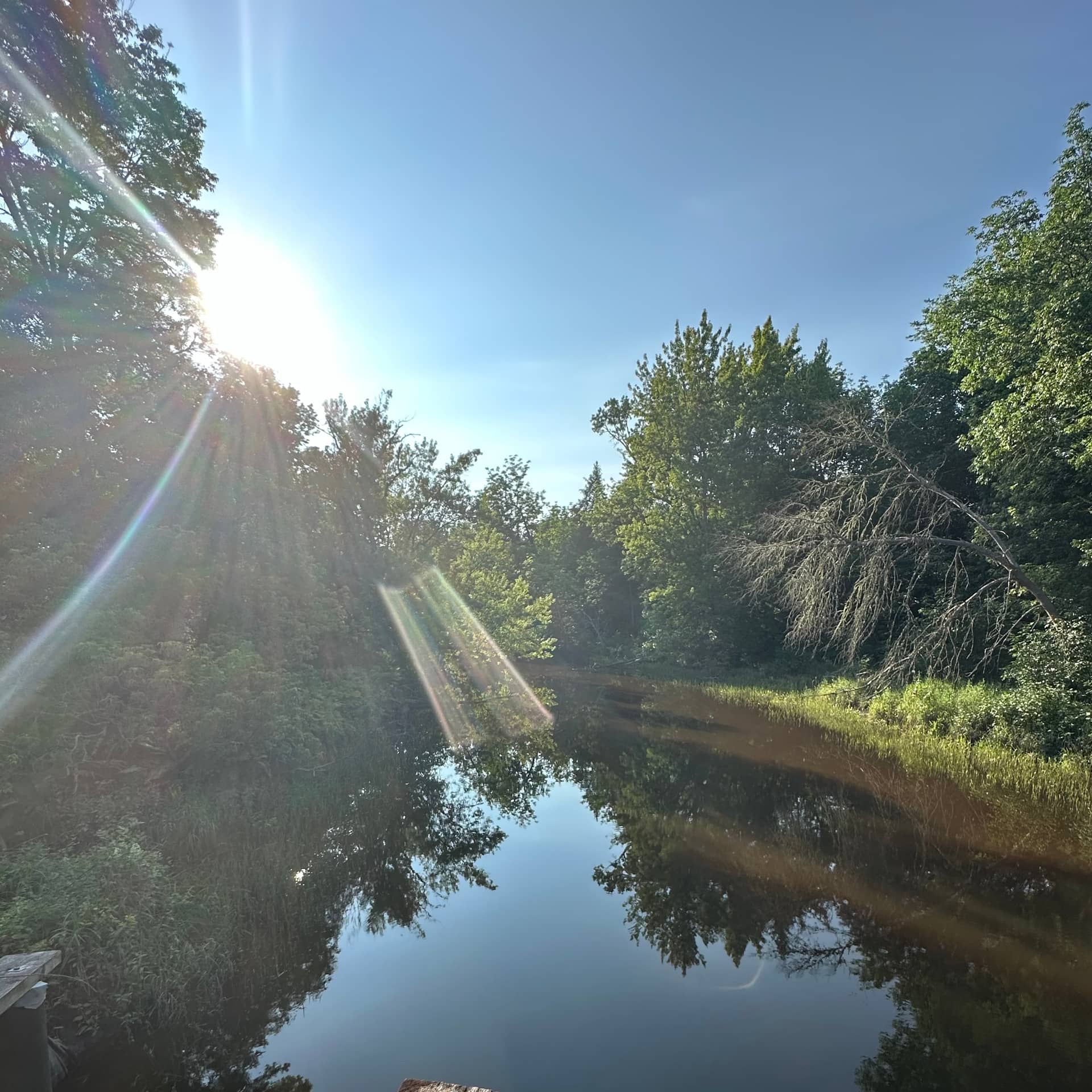 Waterway in Voyageurs National Park
